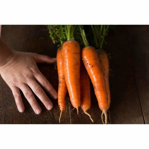 Carrot Kuroda Long