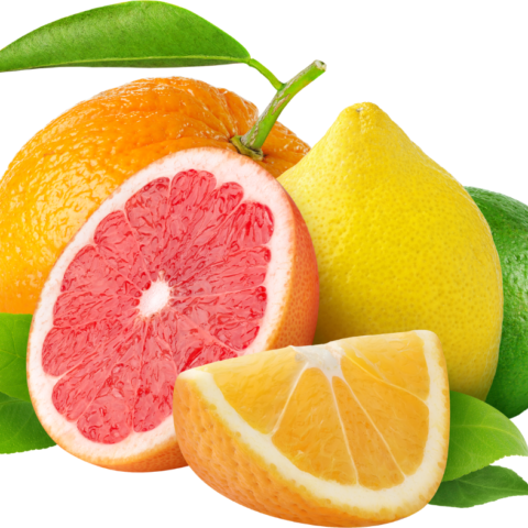 Citrus Plant Food Jar