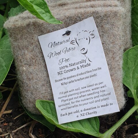 Natural Wool Fibre Pot 3pk-  Seedling