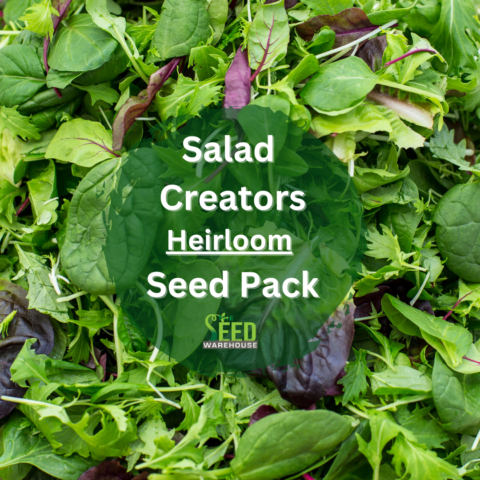 Salad Creators – Heirloom Seed Pack